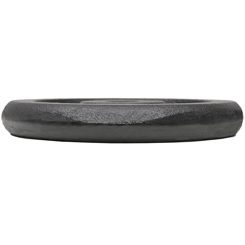 Weight Plate Set for Barbell and Dumbbell – Cast Iron with Scratch-Resistant Powder Coating – for Effective Strength Training at Home or in the Gym