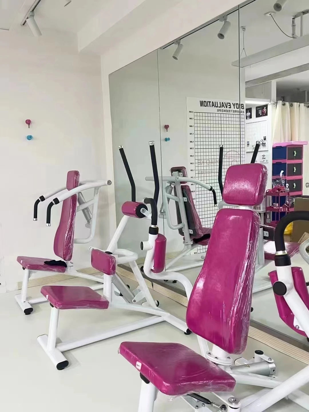 Commercial Women Use Strength Training Gym Equipment Muscle Exercise Arm Curl Machine Seated Biceps Curl Machine For Arm Workout