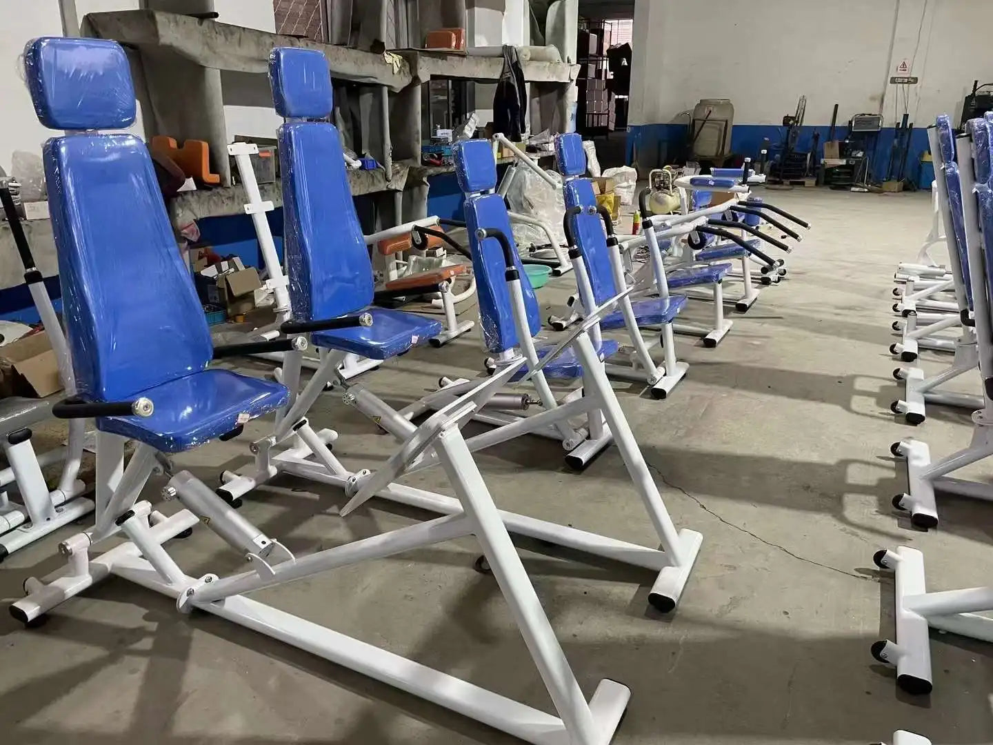Commercial Women Use Strength Training Gym Equipment Muscle Exercise Arm Curl Machine Seated Biceps Curl Machine For Arm Workout