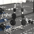Weight Plate Set for Barbell and Dumbbell – Cast Iron with Scratch-Resistant Powder Coating – for Effective Strength Training at Home or in the Gym